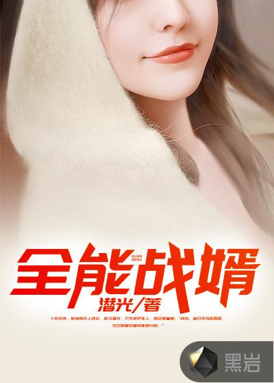 全能医婿