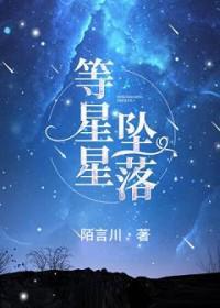 等星星坠落讲了什么