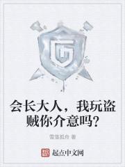 我玩盗贼你介意吗? 他叫陈