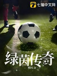 pes2009绿茵传奇