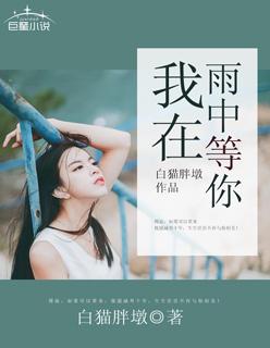 贺小姐复婚吧txt