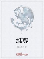 维尊科技企业简介