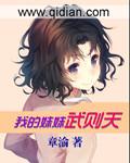 我的妹妹武则天epub 精排